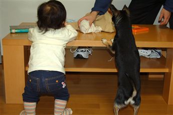 2006-12-24_9_ς.jpg