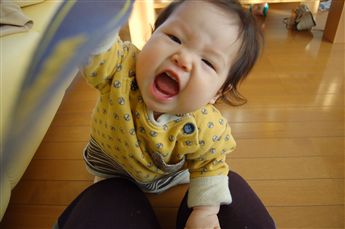2006-12-26_62_t.jpg
