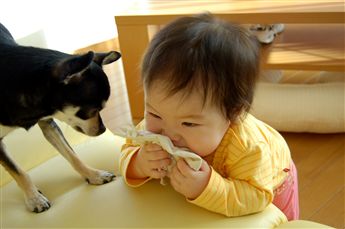 2006-12-28_23_t.jpg